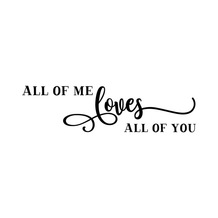 All of Me Loves All of You - Vinyl Decal - Custom Size