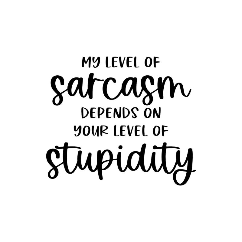My Level of Sarcasm Depends on Your Level of Stupidity - Vinyl Decal - Custom Size