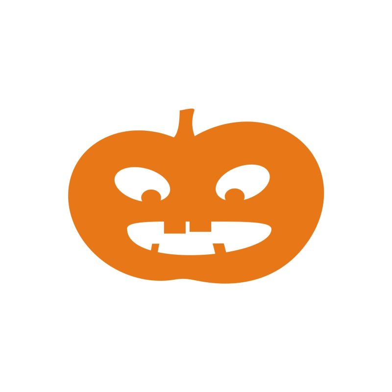 Pumpkin - Custom Size