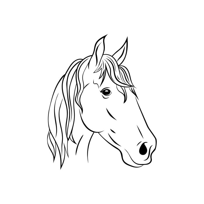 Horse Vinyl Decal - Custom Size