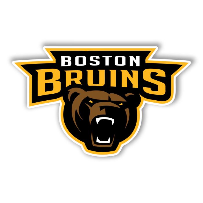 Boston Bruins - Name With Bear - Full Color Vinyl Sticker - Custom Size
