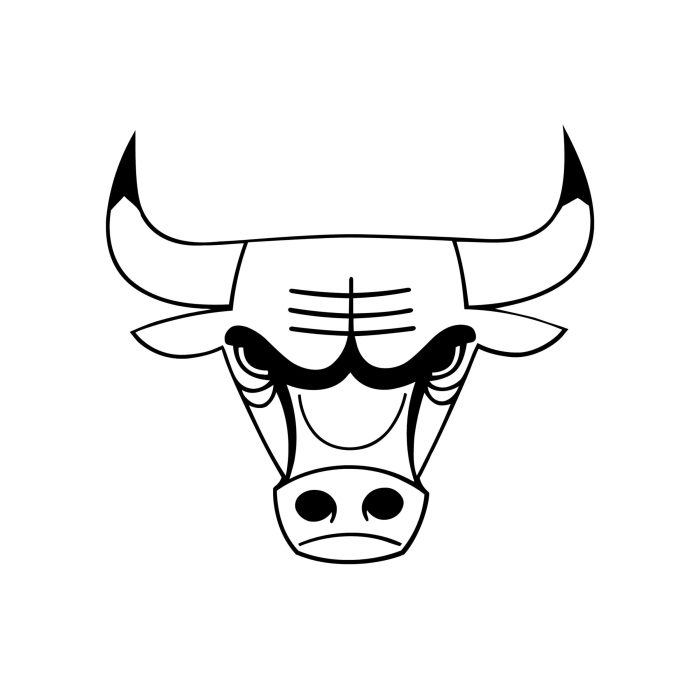 Chicago Bulls Vinyl Decal - Custom Size