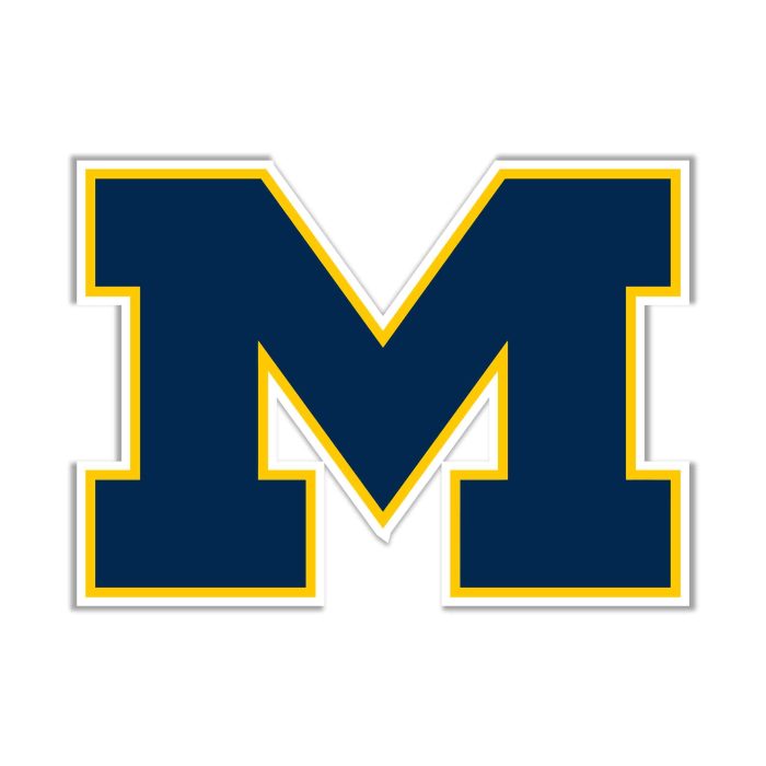 Michigan Wolverines Full Color Vinyl Decal - Custom Size