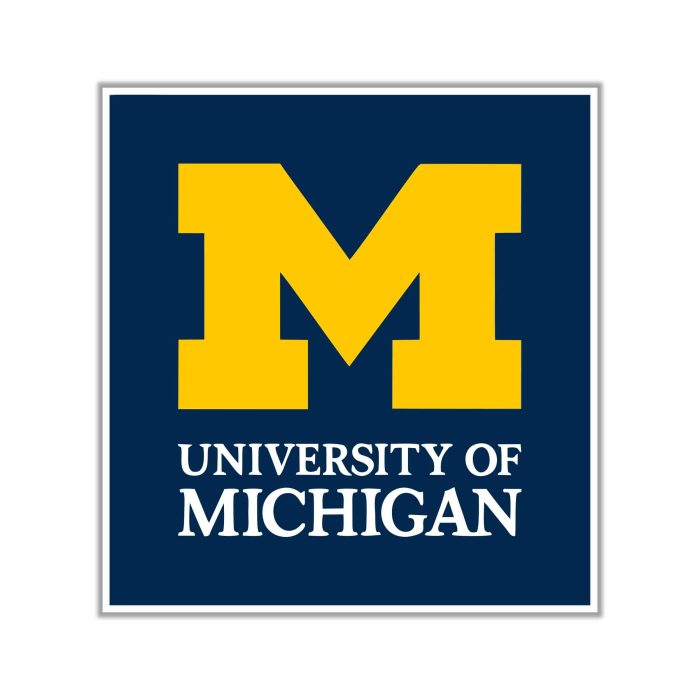 Michigan Wolverines Full Color Vinyl Decal - Custom Size