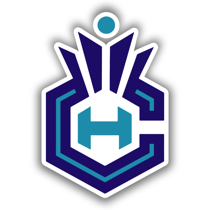 Charlotte hornets - CH - Full Color Vinyl Sticker - Custom Size