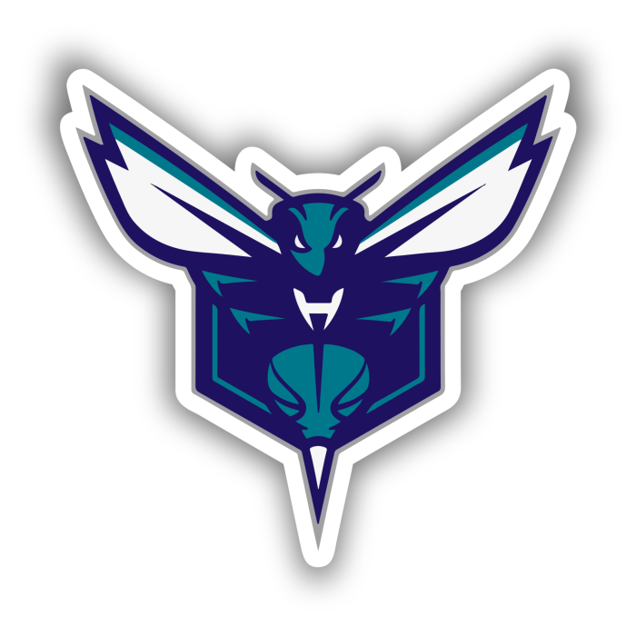 Charlotte hornets - Full Color Vinyl Sticker - Custom Size
