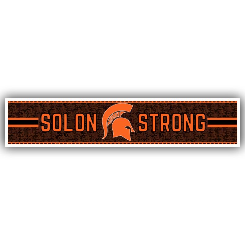 Michigan State Spartans Full Color Vinyl Decal - Custom Size