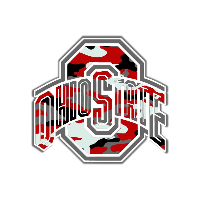 Ohio State Buckeyes Full Color Vinyl Decal - Custom Size