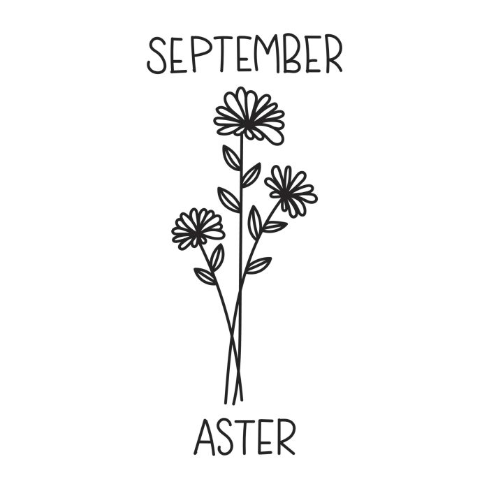 September - Aster Vinyl Decal - Custom Size