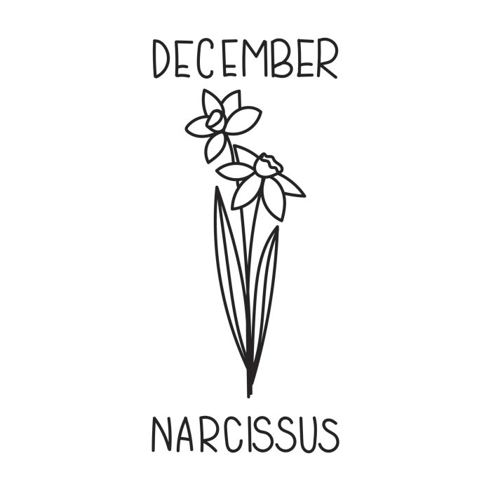 December - Narcissus Vinyl Decal - Custom Size