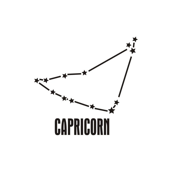 Capricorn Horoscope Vinyl Decal - Custom Size