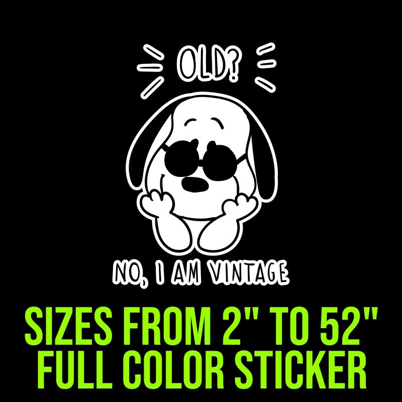 Snoopy Full Color Vinyl Decal