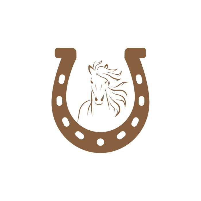 Horse And Horseshoe - Vinyl Decal - Custom Size