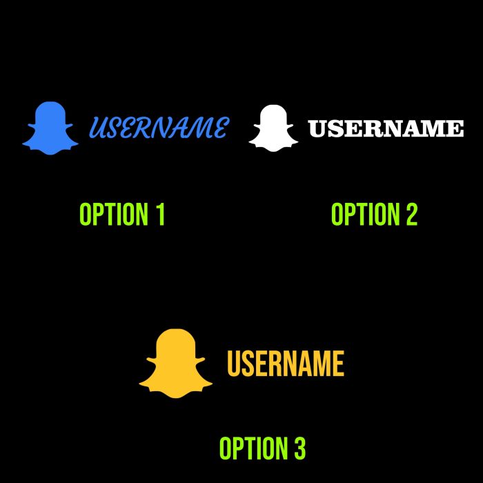 Snapchat Vinyl Decal - Custom Size - Image 2