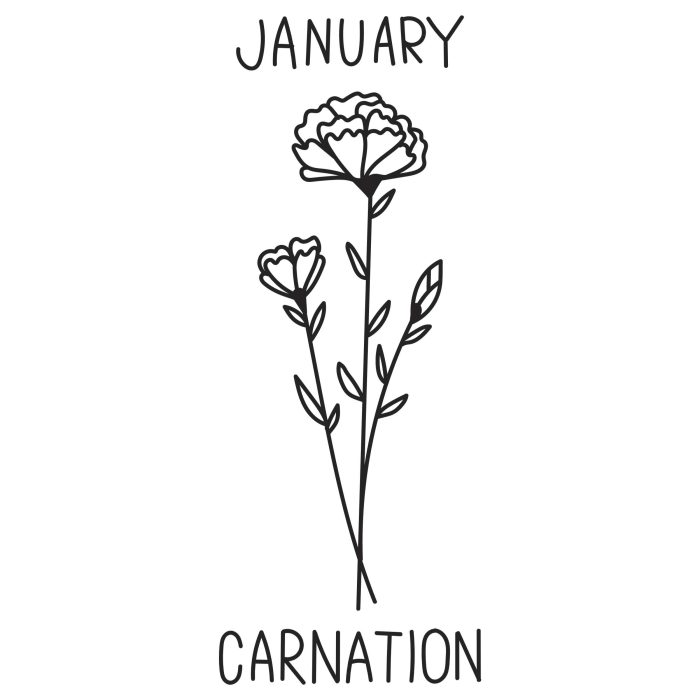 January- Carnation  Vinyl Decal - Custom Size
