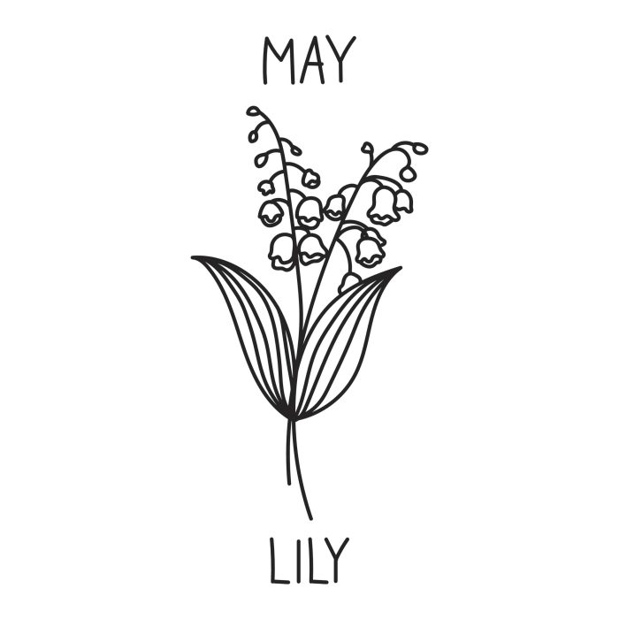 May - Lily Vinyl Decal - Custom Size
