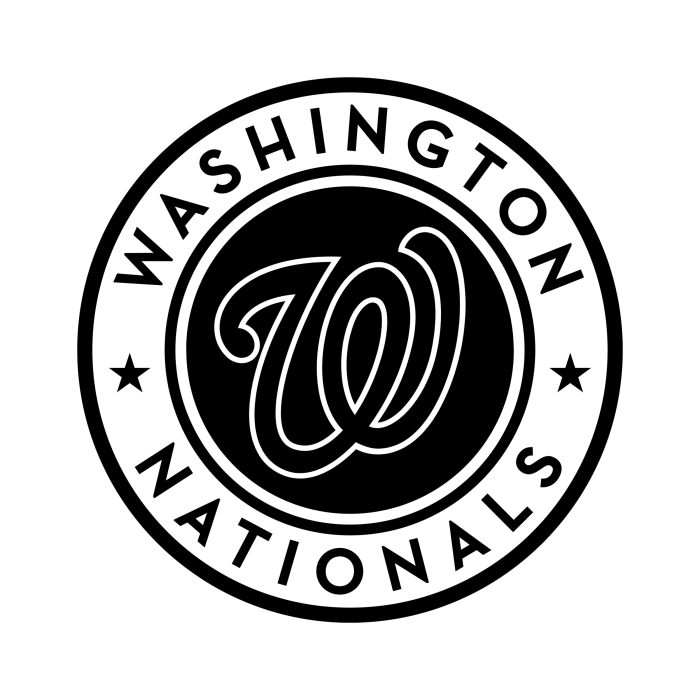 Washington Nationals Vinyl Decal - Custom Size