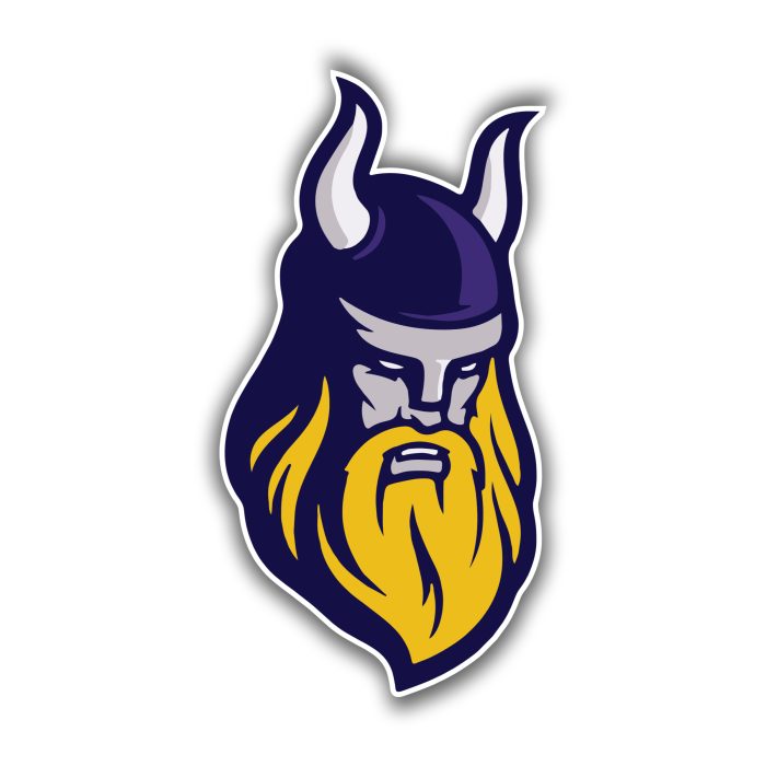 Minnesota Vikings Full Color Vinyl Sticker - Custom Size