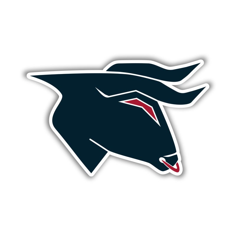 Houston Texans - Bull Head - Full Color Vinyl Sticker - Custom Size