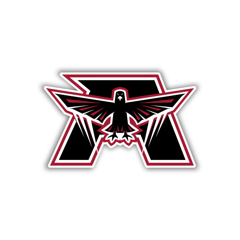Atlanta Falcons - Bird With Letter A - Temporary Tattoo
