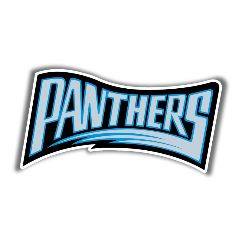 Carolina Panthers Full Color Vinyl Decal - Wording - Custom Size