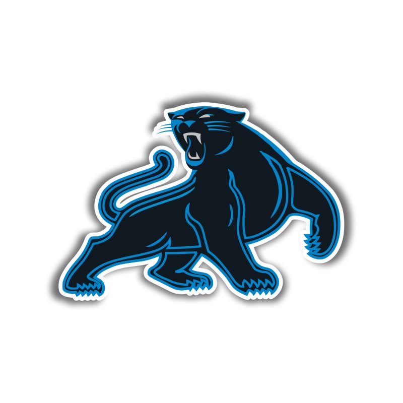 Carolina Panthers - Panther - Temporary Tattoo