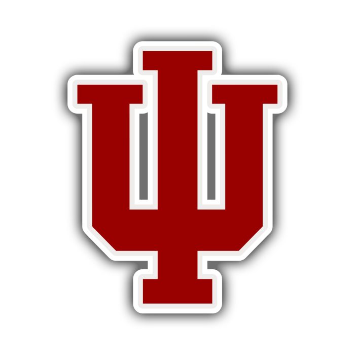 Indiana Hoosiers Full Color Vinyl Decal - Custom Size