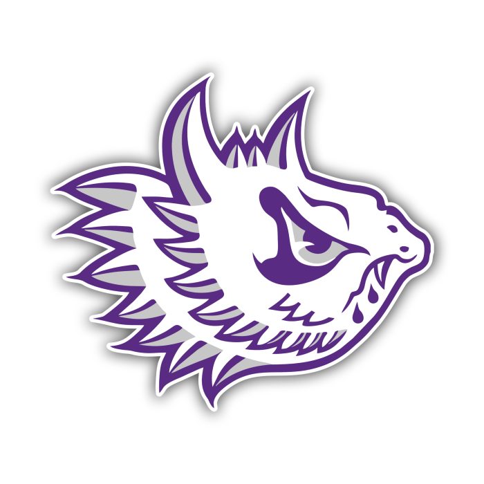 TCU Horned Frogs Full Color Vinyl Decal - Custom Size