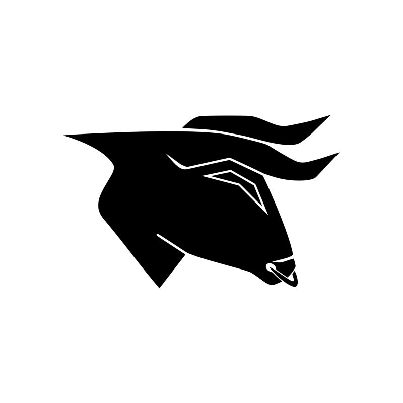 Houston Texans - Vinyl Decal - Custom Size