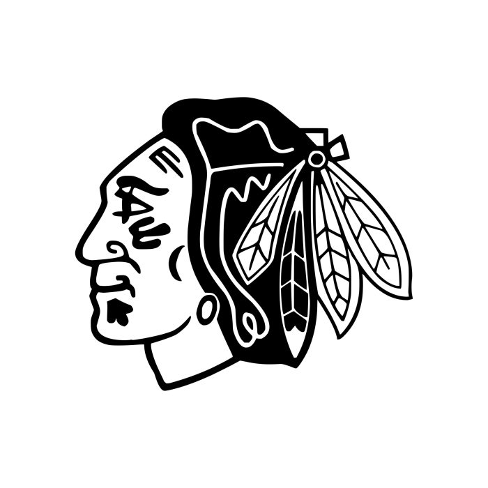 Chicago Blackhawks Vinyl Decal - Custom Size