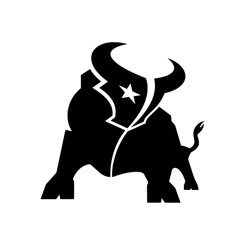 Houston Texans - Vinyl Decal - Custom Size