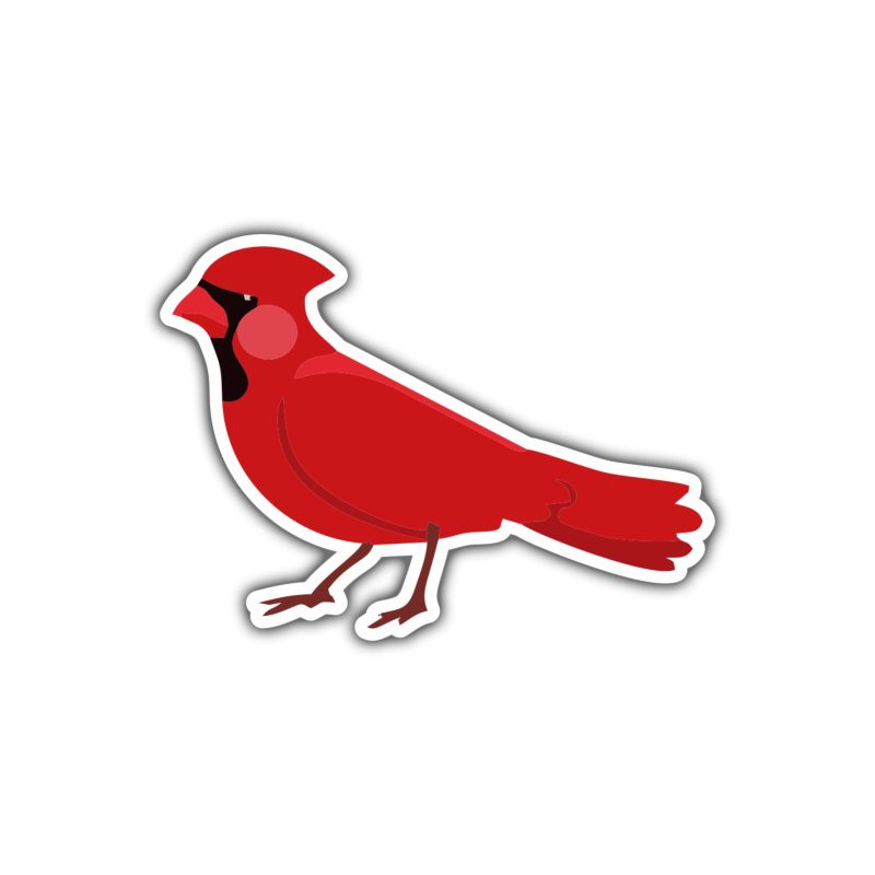 Bird - Cardinal - Full Color Vinyl Decal - Custom Size