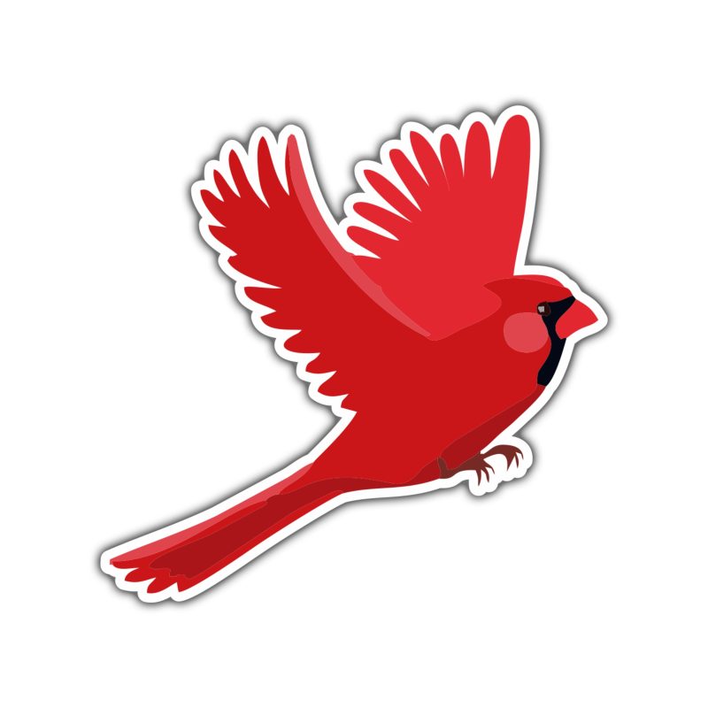 Bird - Cardinal - Full Color Vinyl Decal - Custom Size