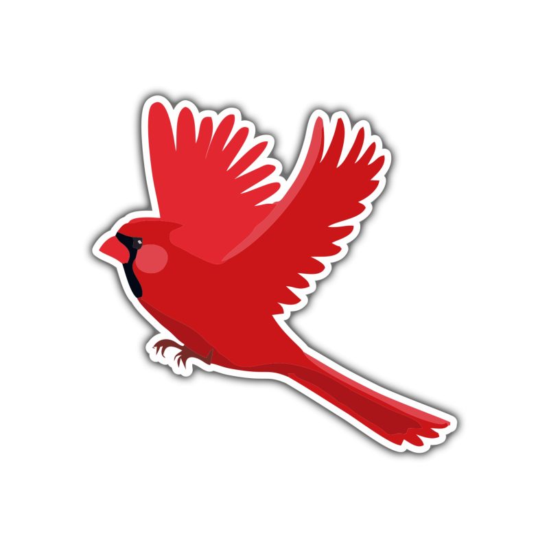 Bird - Cardinal - Full Color Vinyl Decal - Custom Size