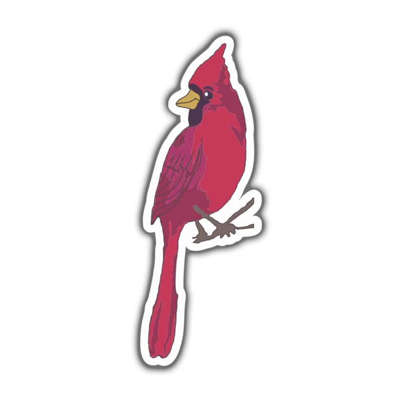 Bird - Cardinal Full Color Vinyl Sticker - Custom Size