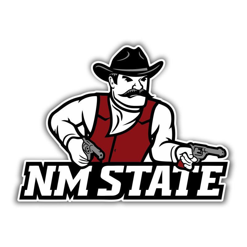 New Mexico State Full Color Vinyl Sticker - Custom Size