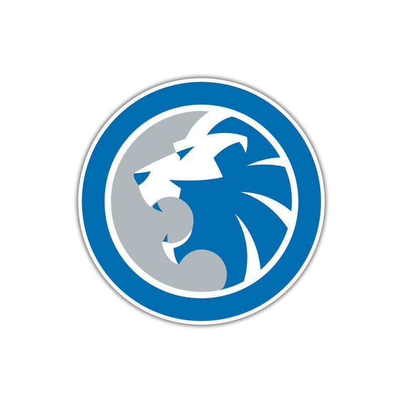 Detroit Lions - Circle With Lion In Middle - Full Color Vinyl Sticker - Custom Size