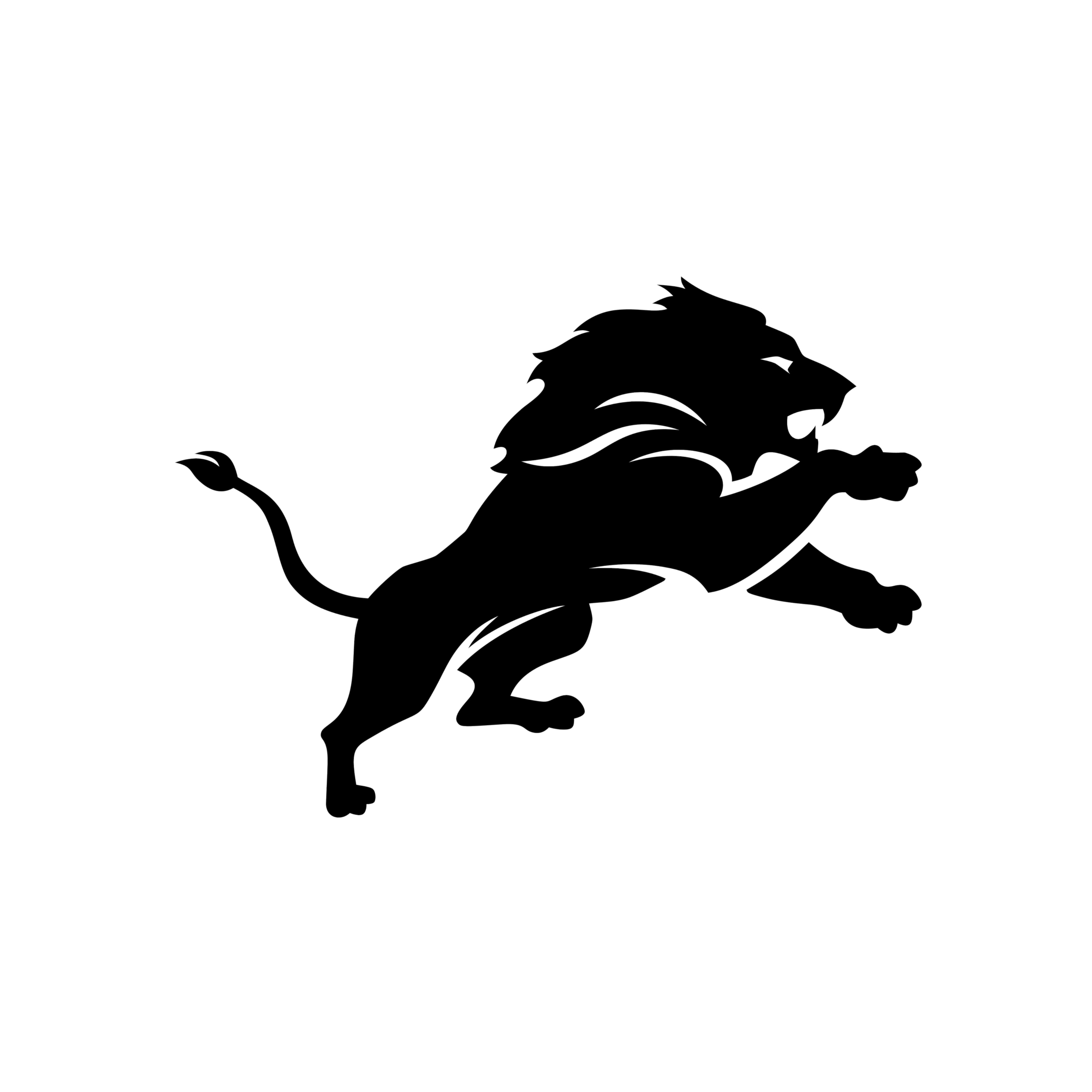 Detroit Lions - Vinyl Decal - Custom Size