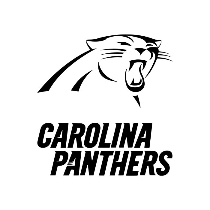 Carolina Panthers Vinyl Decal - Panther's Head with Name - Custom Size