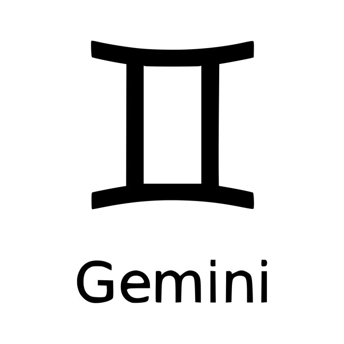 Zodiac Signs - Gemini - Vinyl Decal - Custom Size