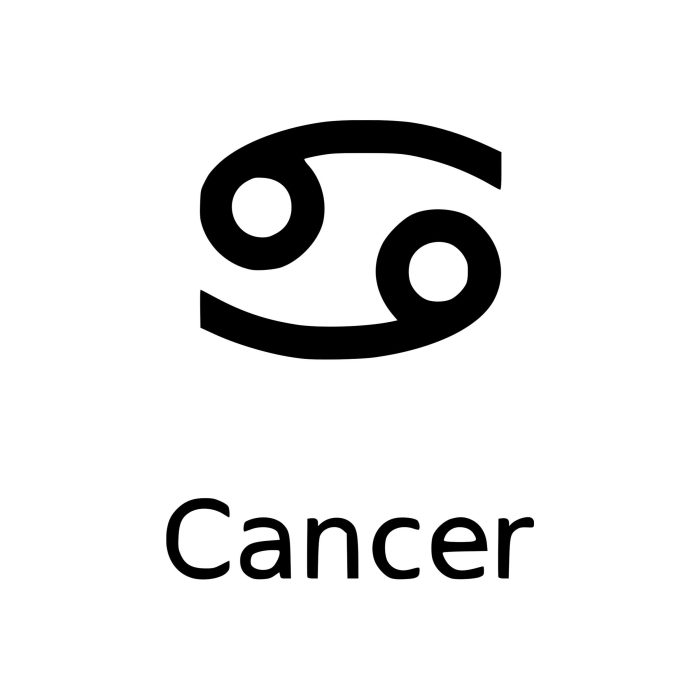 Zodiac Signs - Cancer - Vinyl Decal - Custom Size