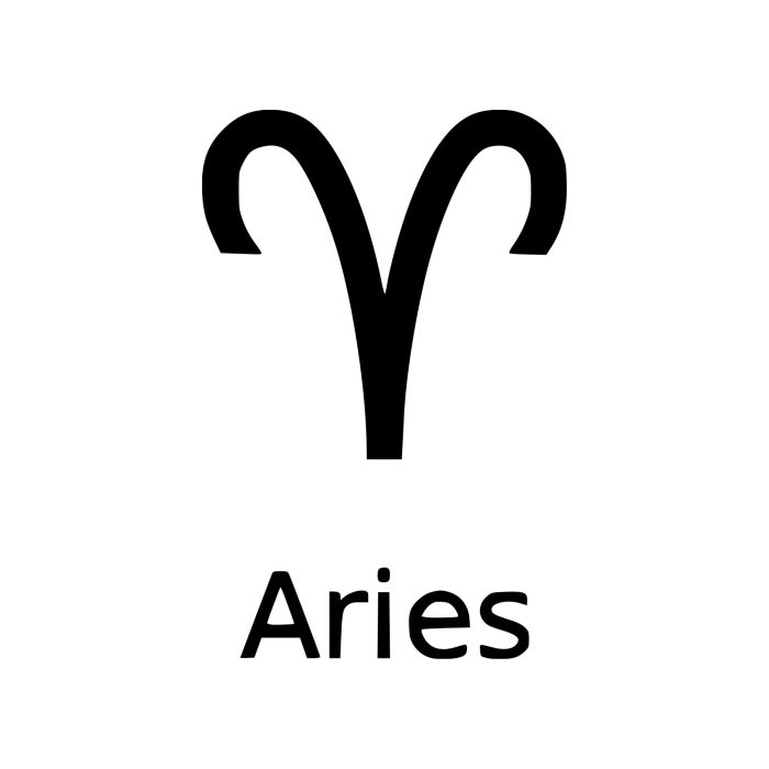 Zodiac Signs - Aries- Vinyl Decal - Custom Size