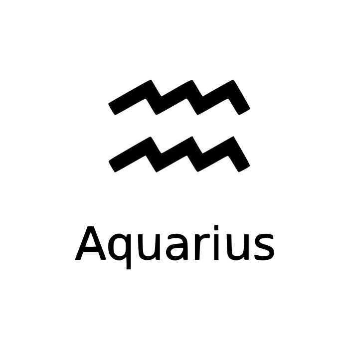 Zodiac Signs - Aquarius- Vinyl Decal - Custom Size