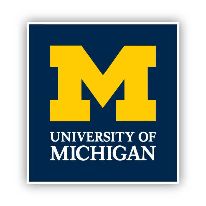 Michigan Wolverines - Blue Square With Yellow M - Temporary Tattoo