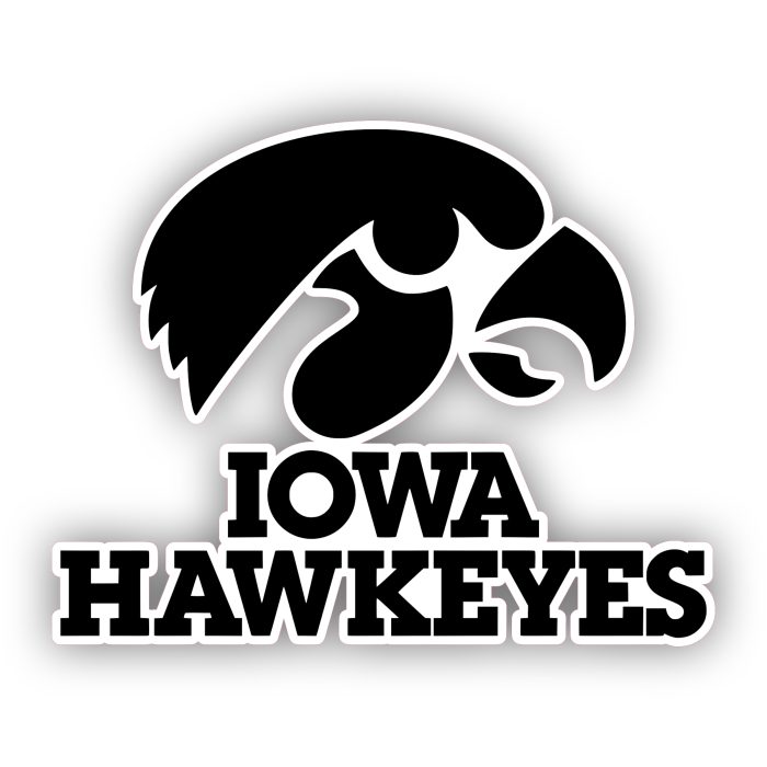 Iowa Hawkeyes - Black Hawk with Lettering - Full Color Vinyl Decal - Custom Size