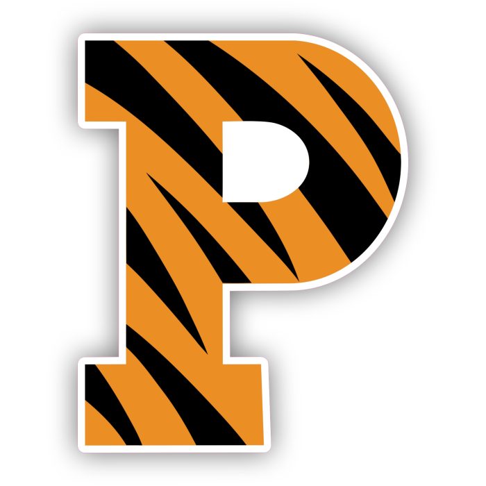 Princeton Tigers - Tiger Print P - Full Color Vinyl Decal - Custom Size