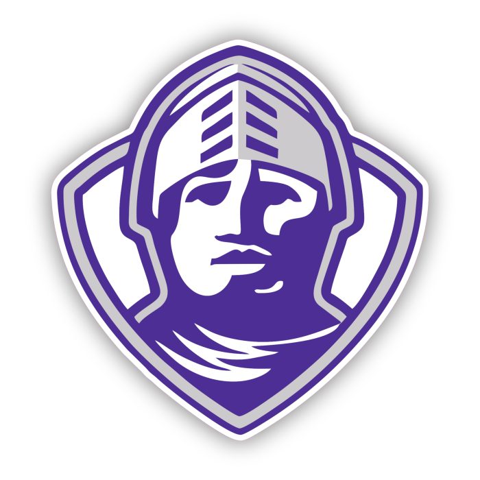 Furman Paladin - Full Color Vinyl Decal - Custom Size