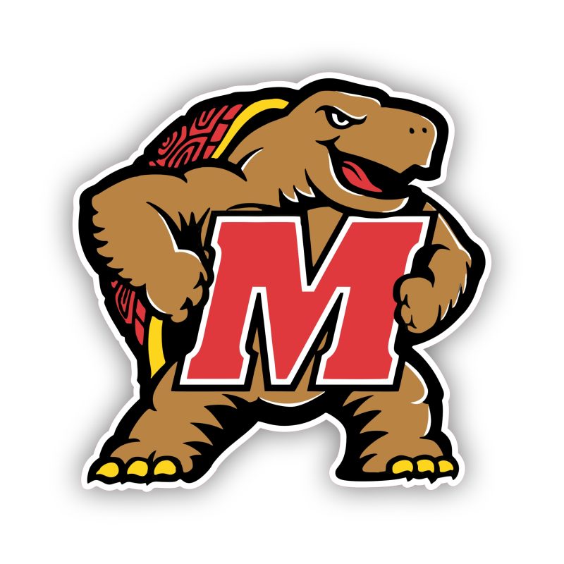 Maryland Terrapins - M with Terrapin - Full Color Vinyl Decal - Custom Size