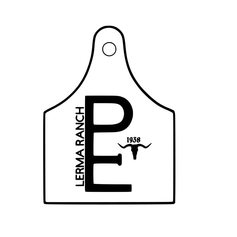 Custom for Terry Vinyl Decal - Custom Size