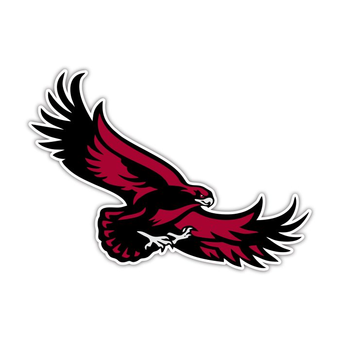 St. Joseph's Hawks - Full Color Vinyl Decal - Custom Size